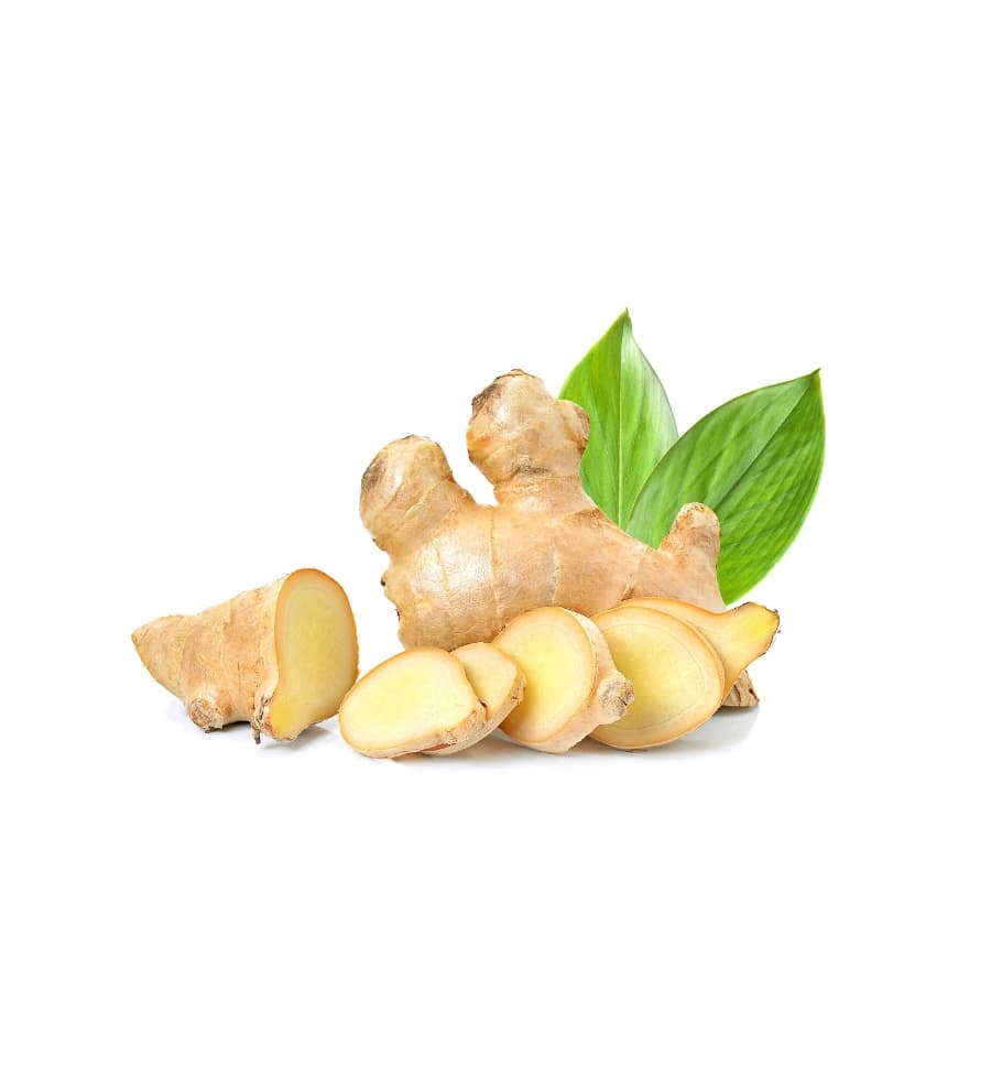 ខ្ញីមើម