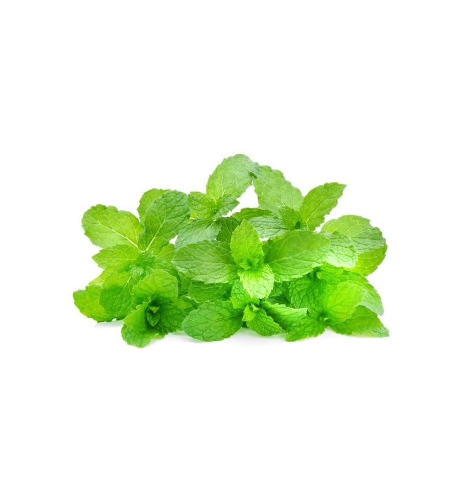 ជីអង្កាម